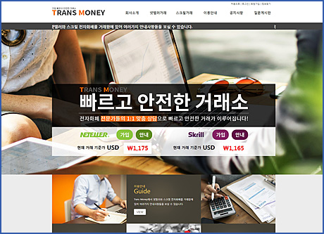트랜스머니